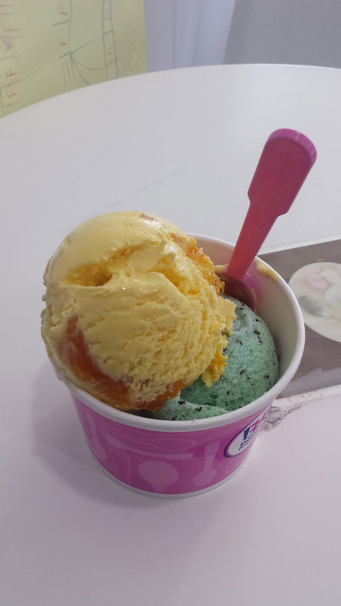 Baskin Robbins - Restaurant Guide 1