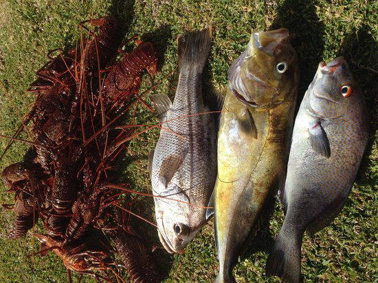Ledge Point WA Restaurant Guide