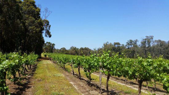 Lower Chittering WA Restaurant Guide