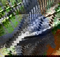 Cafe Settebello - Restaurant Guide