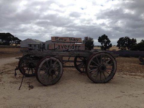 Emu Bay Lavender - Restaurant Guide 0