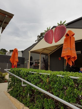 Green Valley Strawberries - Restaurant Guide 0