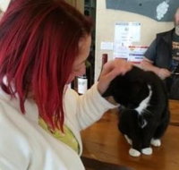 Stone Bridge Wines - Restaurant Guide