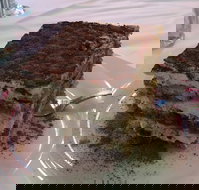 La Trattoria - Restaurant Guide