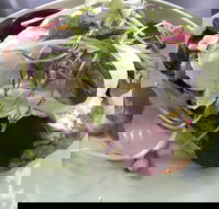 Public - Restaurant Guide