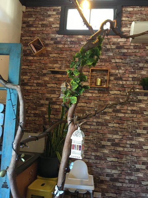 Woodbox Cafe - Restaurant Guide 3