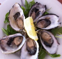 Noosa Yacht and Rowing Club - Restaurant Guide