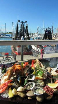 Tempest Seafood Restaurant  Teppanyaki Grill