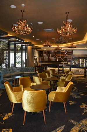  Restaurant Guide