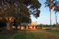Tea Terrace Cafe