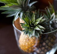 The Caf Coolum - Restaurant Guide