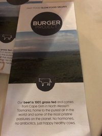 Burger Project