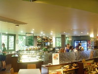 Skyrail Canopy Cafe