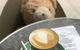 Felix Espresso And Wine Bar - thumb 0