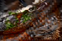 Charleville Takeaway and Charleville Restaurant Guide Restaurant Guide