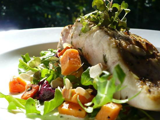 Cape Tribulation QLD Restaurant Guide