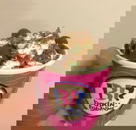 Baskin Robbins Toowoomba - Restaurant Guide