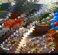 Island fruit Barn - Restaurant Guide