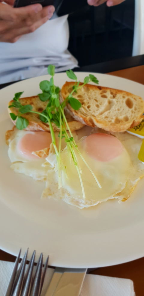 Migaloo's Cafe - Restaurant Guide 1