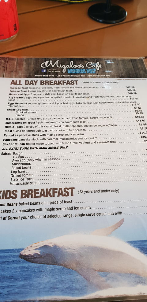 Migaloo's Cafe - Restaurant Guide 3