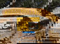 Muggachinno's