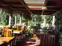 Suzannes's Hideaway Cafe