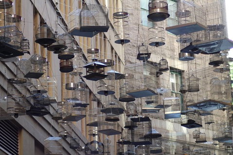 Sydney Scavenger Hunt: Inside Sydney - Restaurant Guide 0