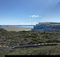Penguin Island And Fremantle - Canoe Chocolate  Coffee - Restaurant Guide