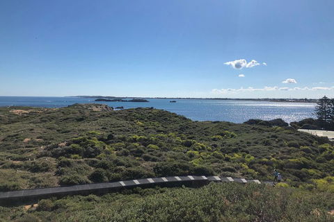Penguin Island And Fremantle - Canoe, Chocolate & Coffee - Restaurant Guide 0
