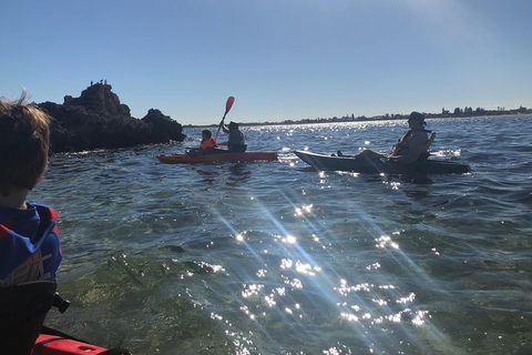 Penguin Island And Fremantle - Canoe, Chocolate & Coffee - Restaurant Guide 1