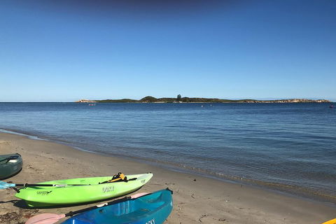 Penguin Island And Fremantle - Canoe, Chocolate & Coffee - Restaurant Guide 2