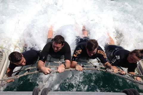 Cruise In Moreton Bay Marine Park And Moreton Island - Restaurant Guide 0