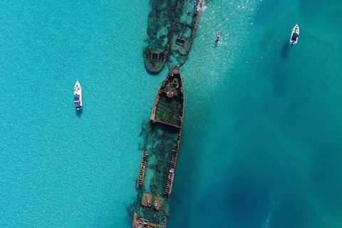 Cruise In Moreton Bay Marine Park And Moreton Island - Restaurant Guide 1