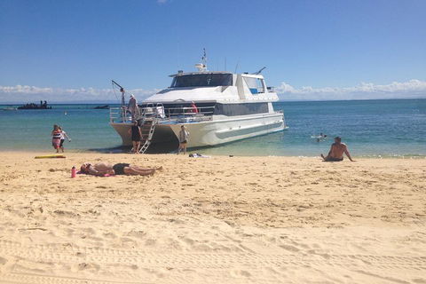 Cruise In Moreton Bay Marine Park And Moreton Island - Restaurant Guide 4