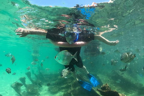 Cruise In Moreton Bay Marine Park And Moreton Island - Restaurant Guide 5