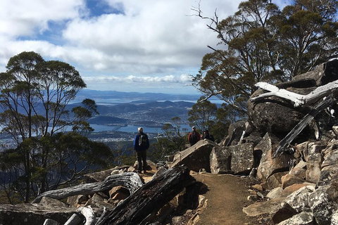 Kunanyi / Mt Wellington Explorer Bus - 2 Hour Return Tour - Restaurant Guide 0