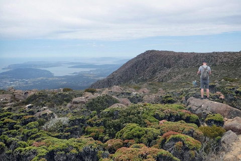 Kunanyi / Mt Wellington Explorer Bus - 2 Hour Return Tour - Restaurant Guide 3