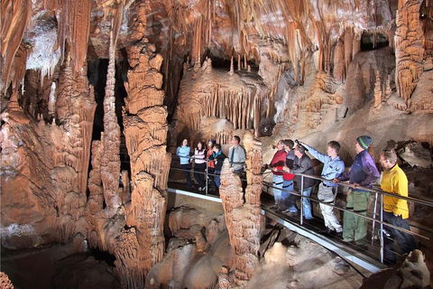 Private Tour: Jenolan Caves & Blue Mountains In A Day - Restaurant Guide 0