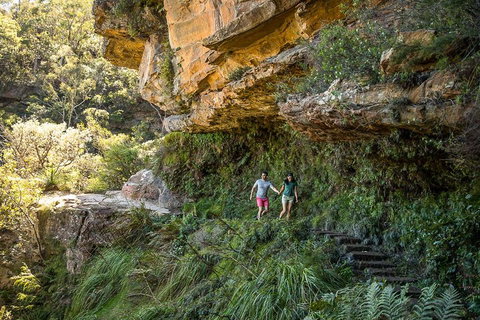 Private Guided: Blue Mountains Hiking & Nature Tour - Restaurant Guide 2