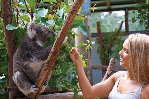 Private Guided Tour: Blue Mountains Tour From Sydney - Restaurant Guide 5