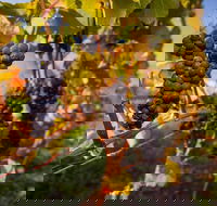 Full Day Tamar Valley Wine Tour - Restaurant Guide