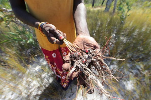 Gay-Wu Woman's 5 Day Yolngu Homeland Tour - Restaurant Guide 0