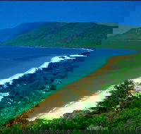 Cairns Reef and Rainforest Combo Daintree Rainforest and the Great Barrier Reef - Restaurant Guide