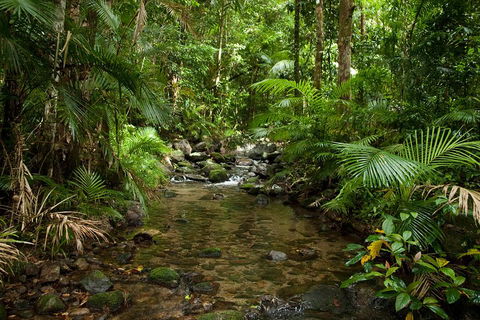 Cairns Reef And Rainforest Combo: Daintree Rainforest And The Great Barrier Reef - Restaurant Guide 1