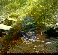 Cairns National Park Rainforest and Waterfall Small Group Tour Shore Excursion - Restaurant Guide