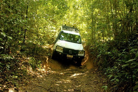 Cairns National Park Rainforest And Waterfall Small Group Tour Shore Excursion - Restaurant Guide 0