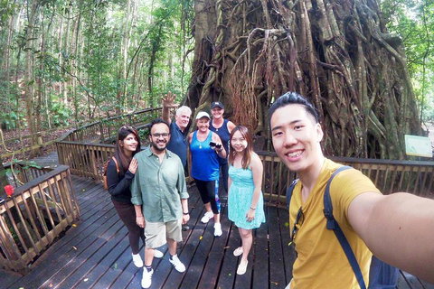 Cairns National Park Rainforest And Waterfall Small Group Tour Shore Excursion - Restaurant Guide 2
