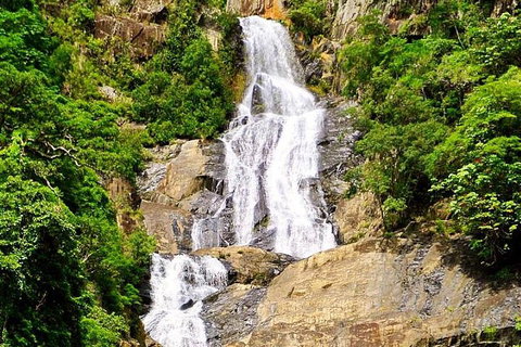 Cairns National Park Rainforest And Waterfall Small Group Tour Shore Excursion - Restaurant Guide 4
