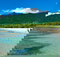 Private Daintree National Park Day Tour from Cairns Including Cape Tribulation and Mossman Gorge - Restaurant Guide