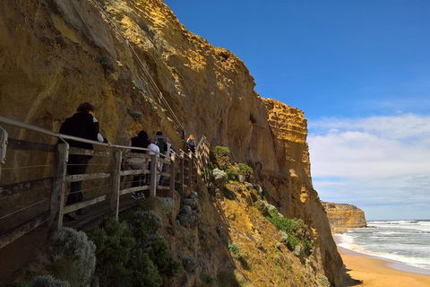 Private Express Experience - 12 Apostles - Restaurant Guide 3